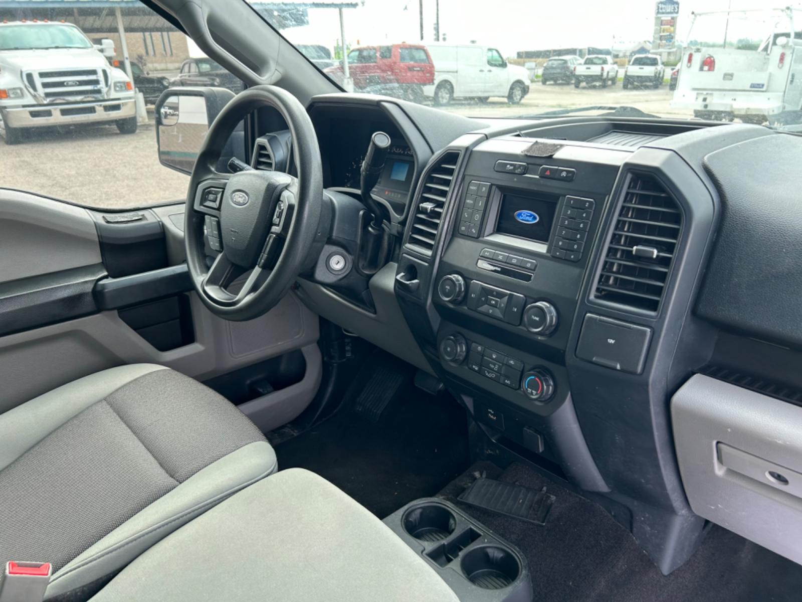 2019 White Ford F-150 (1FTEW1C55KK) with an 5.0L V8 F DOHC 32V engine, Automatic transmission, located at 1687 Business 35 S, New Braunfels, TX, 78130, (830) 625-7159, 29.655487, -98.051491 - Photo #3